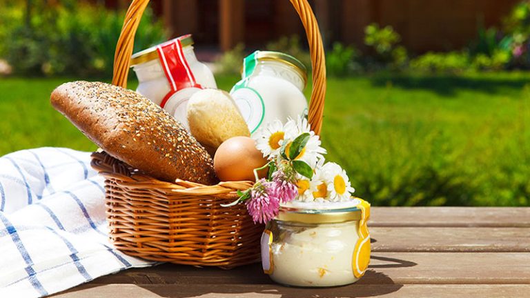 Different milk products: cheese, cream, milk, oil with bread, eggs and flowers. On a nature background